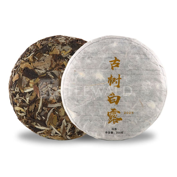 Gushu White Yunnan White Tea