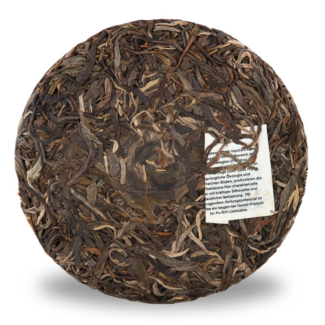 2025 Pasha Sheng Pu Erh - Xi Niu Tang