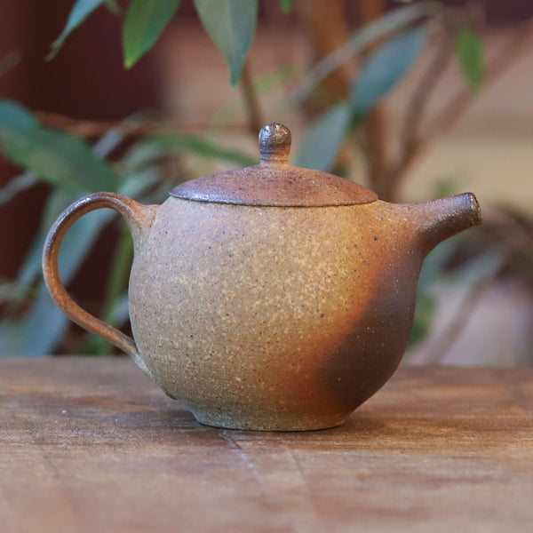 Holzbrand Gongfu Teekännchen von Jiri Duchek (170 ml)