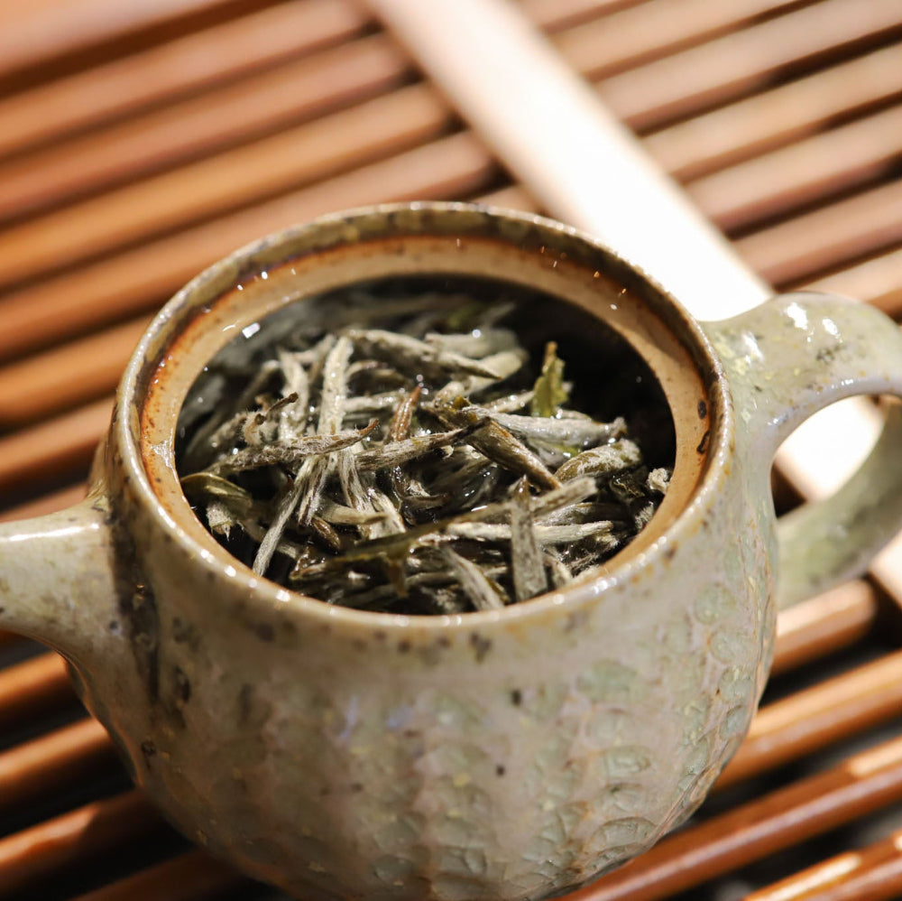 2019 Fuding Silver Needle (Bai Hao Yin Zhen)