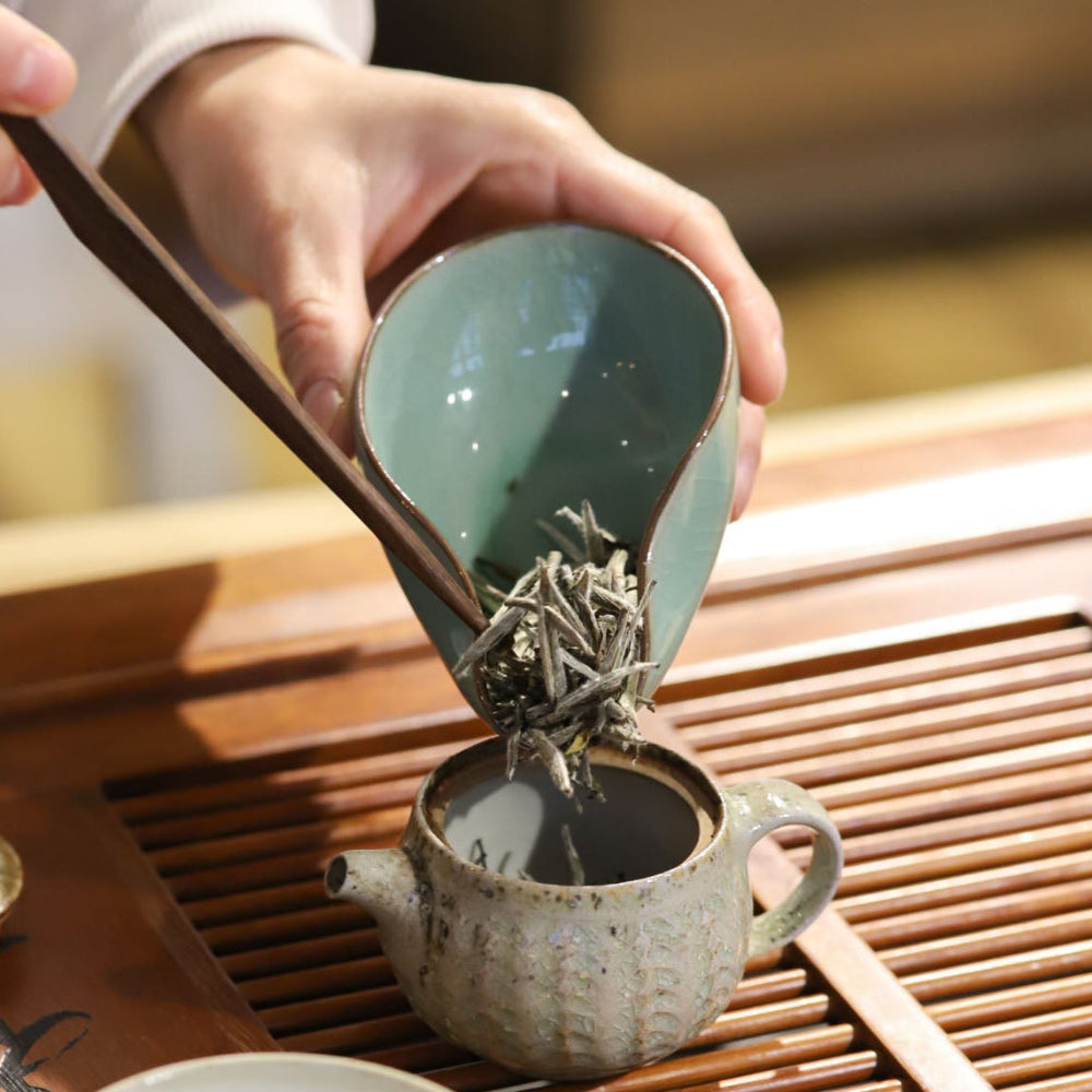 2019 Fuding Silver Needle (Bai Hao Yin Zhen)