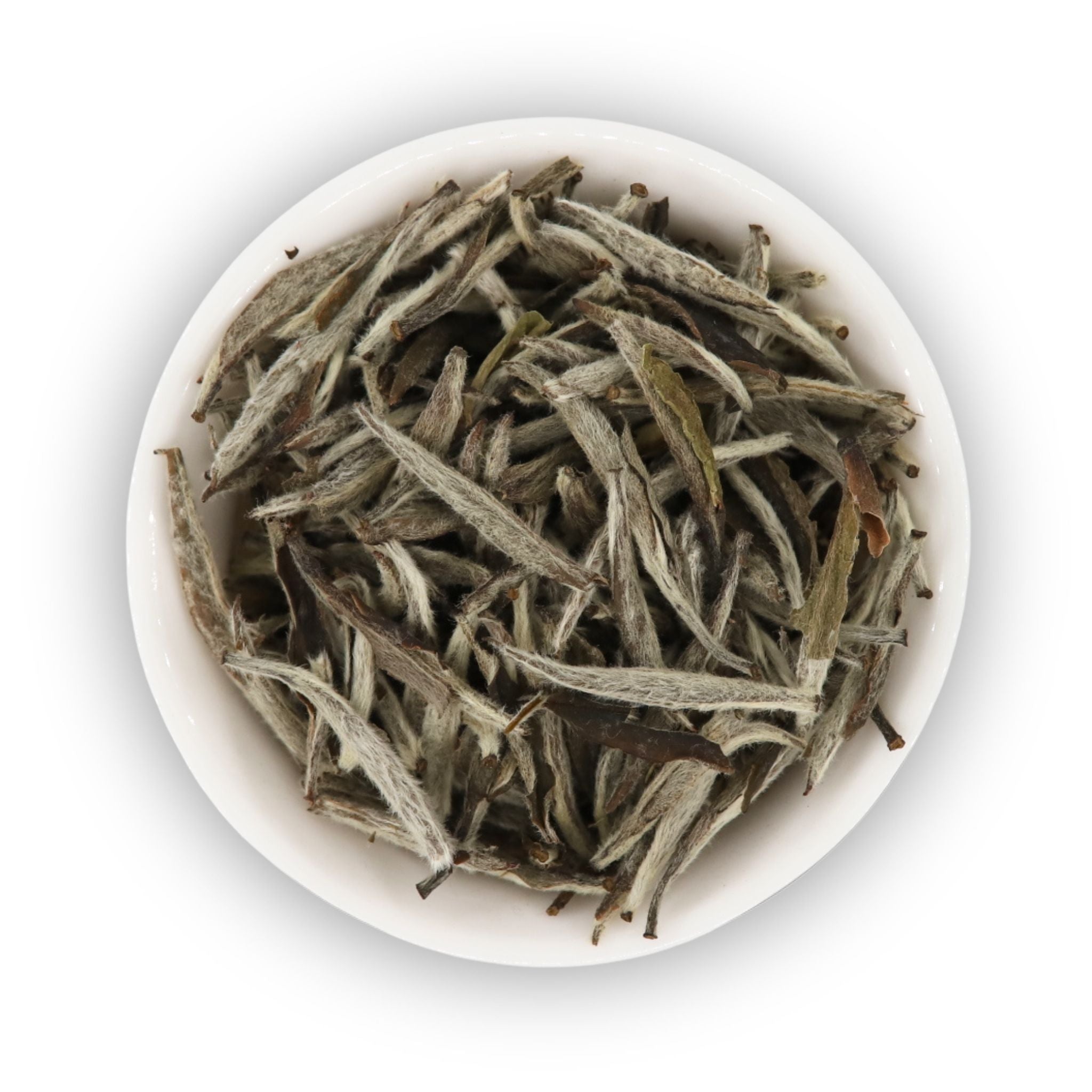 2019 Fuding Silver Needle (Bai Hao Yin Zhen)