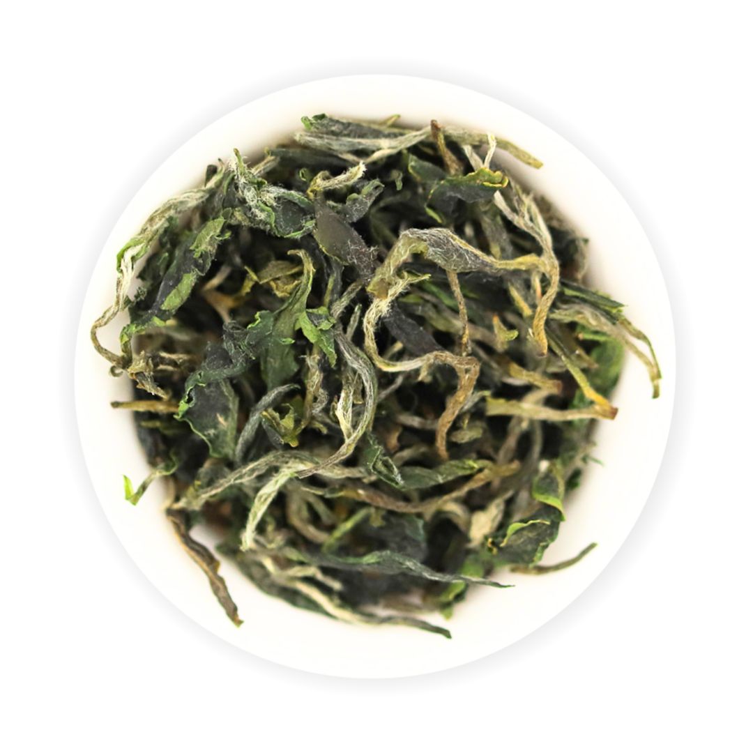 Sanxia Bi Luo Chun 2026 | Green Tea from Taiwan | TEEWALD – Teewald