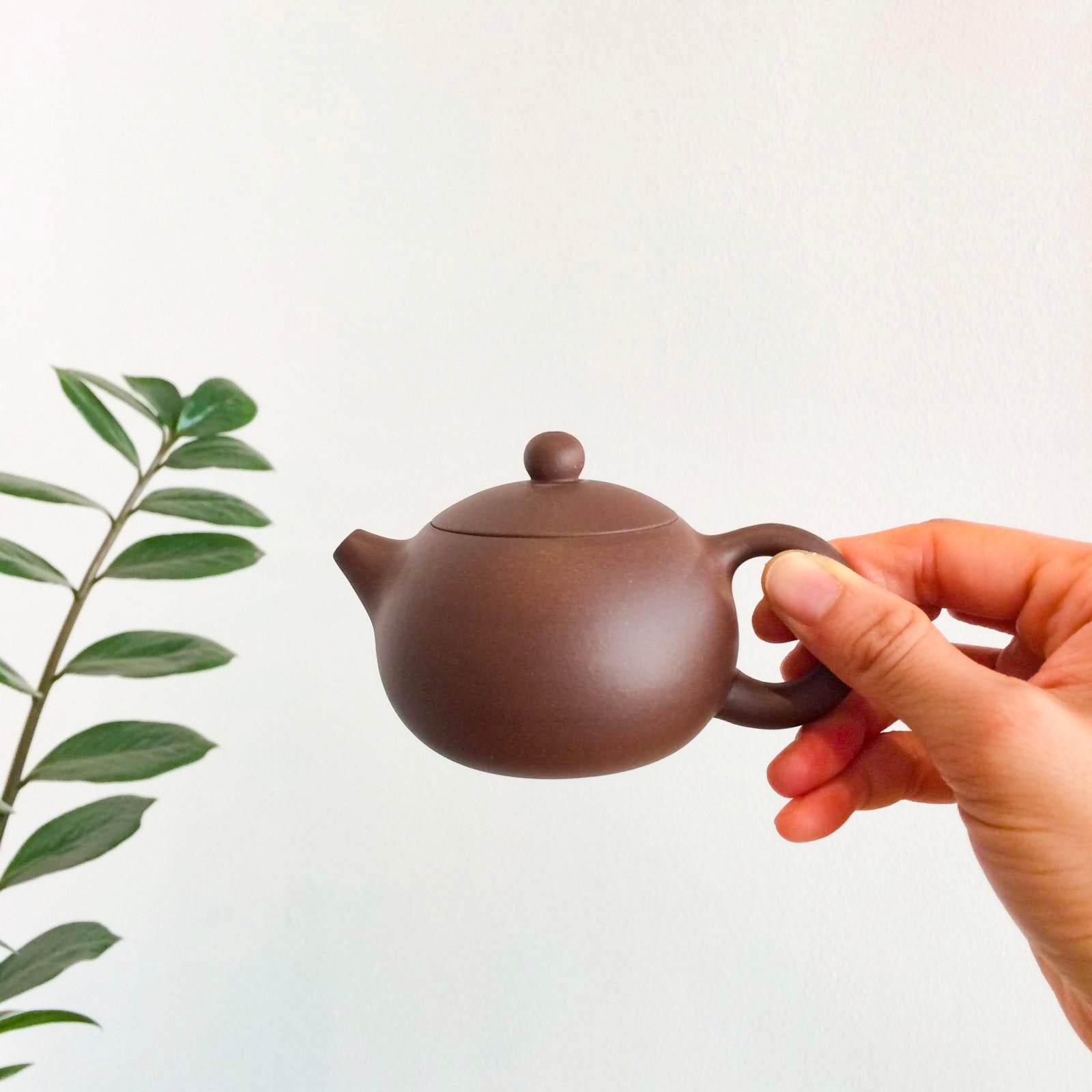 Yixing Xishi Teapot - Thumbnail 5
