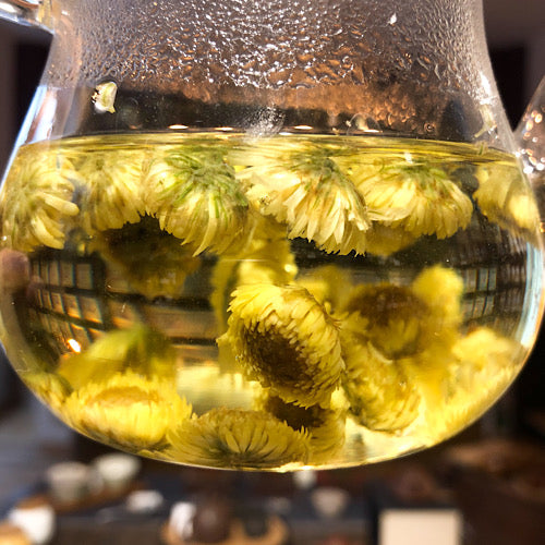 Chrysanthemen Knospen Tee